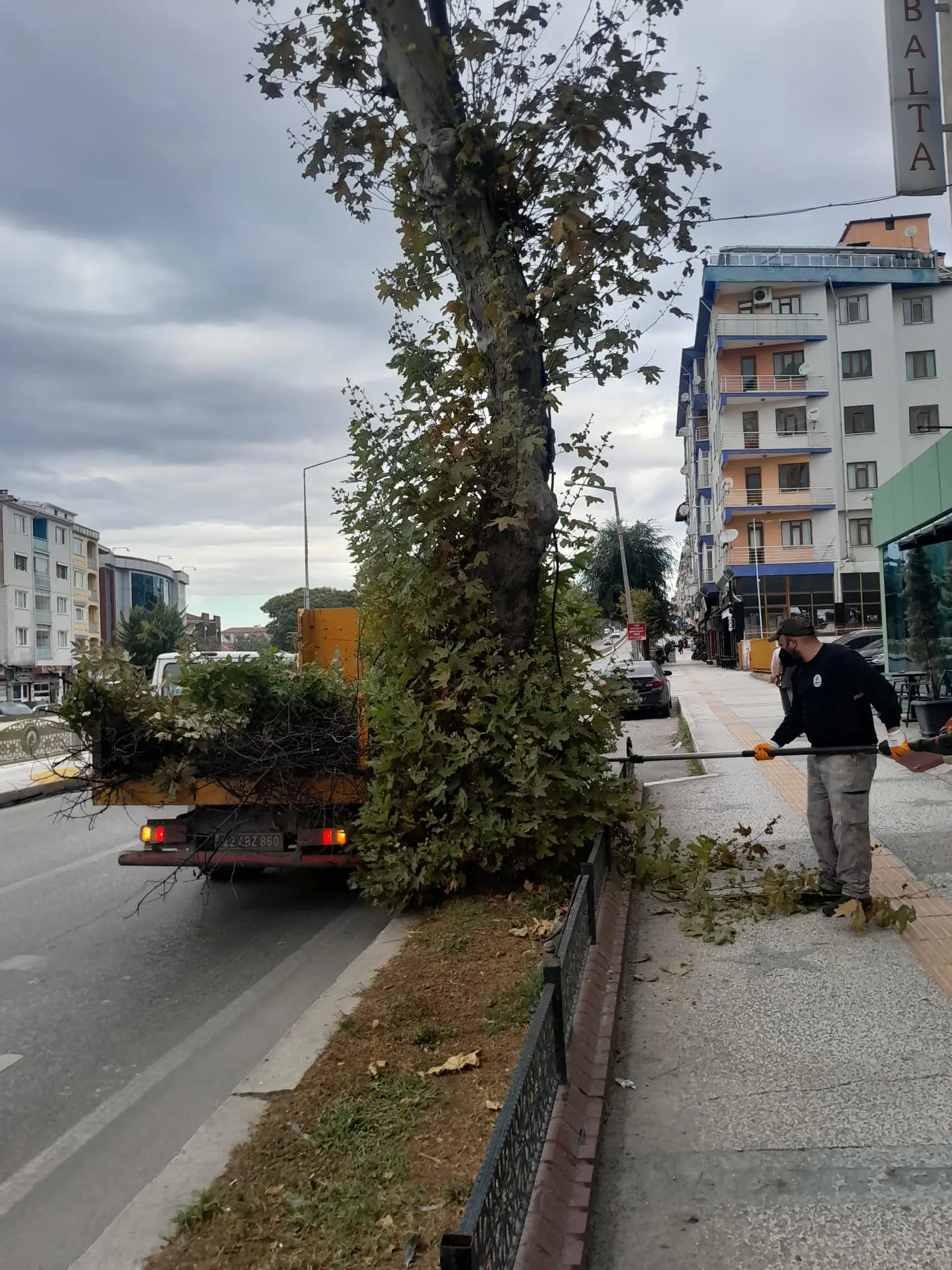YEŞİL EDİRNE: 26 NOKTADA 5 BİN 75 YENİ DİKİM galeri görseli
